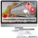 TDG Online Training (English)